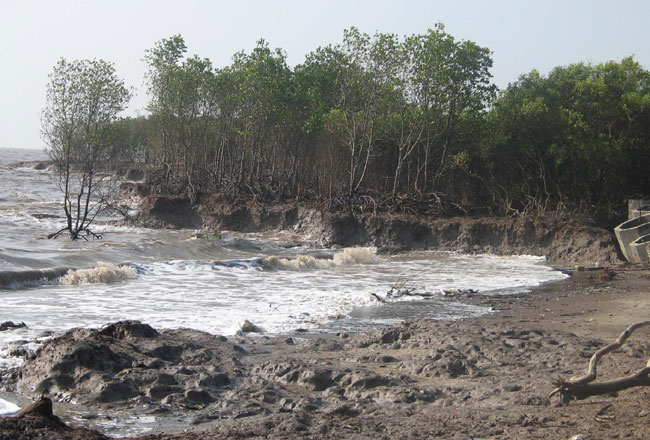 Quy hoạch biển và cải thiện điều kiện môi trường vùng bờ Đồng bằng sông Cửu Long